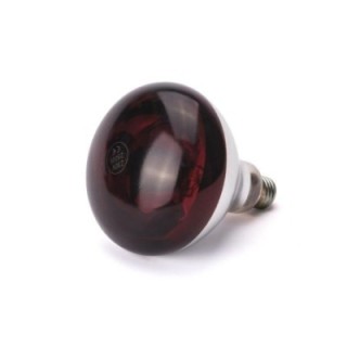 Żarówka grzewcza na podczerwień