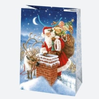 Torebki ozdobne T9 zestaw nr 31 GWIAZDKA 29/40cm op. 10 sztuk