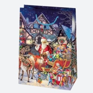 Torebki ozdobne T9 zestaw nr 29 GWIAZDKA 29/40cm op. 10 sztuk