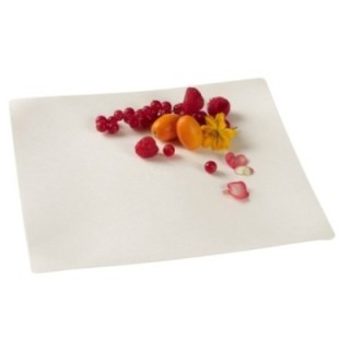 Talerz z trzciny cukrowej kwadrat biały, 20x20x1,2cm op. 10 sztuk