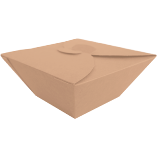 BIO FOOD BOX 1000ml brązowy op.50szt 17x17cm, biodegradowalne (k/4) SALAD BOX TnG