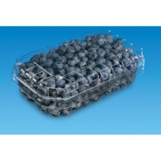 O. F-250 pojemnik na owoce rPET 125g op.2300szt, F-250/I-29