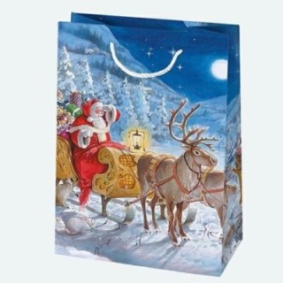 Torebki ozdobne T10 GWIAZDKA zestaw 22, 34/48cm, op. 10 sztuk