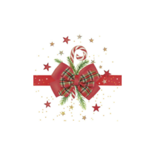 Serwetki 33x33 DAISY GWIAZDKA 022001 op.20szt. (k/24) Checked Bow with Candy Cane