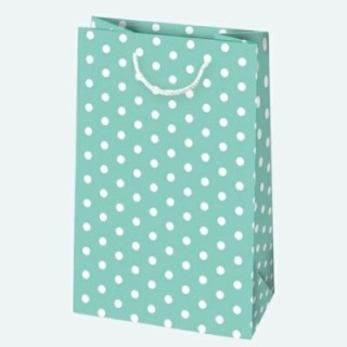 Torebki ozdobne T3 ogólne zestaw 49 16/24cm, op. 10 szt (groszki) (k/50)