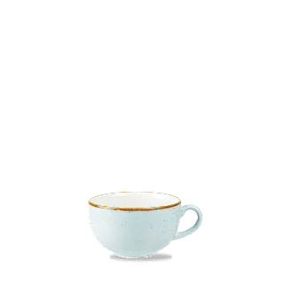 Filiżanka do kawy i herbaty Stonecast Duck Egg Blue 227 ml